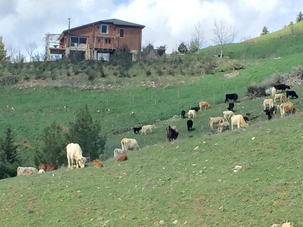 Luxury On Mountain With Great View *